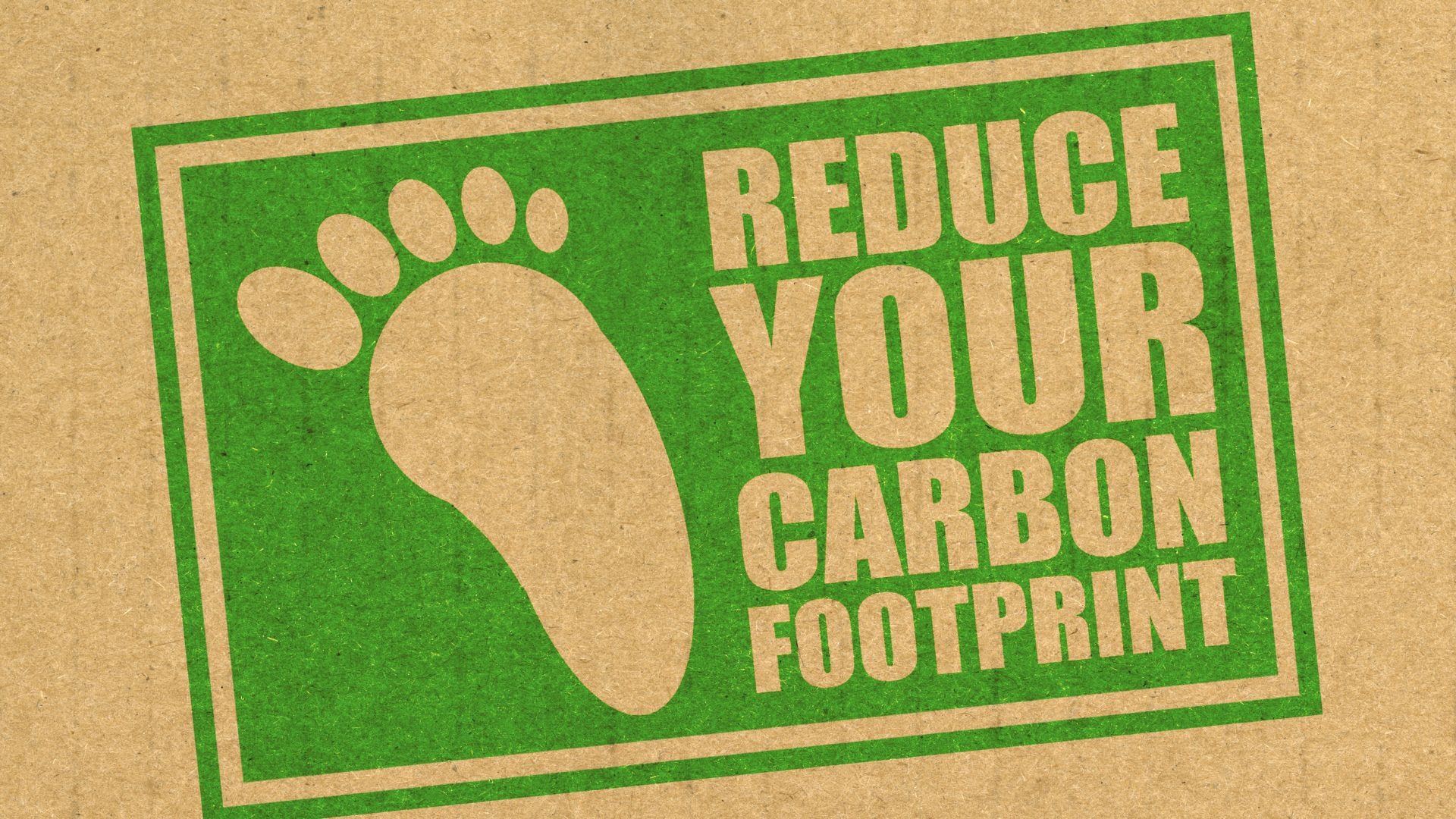 Reduce your carbon footprint