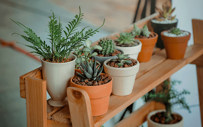 spring allergies, Tips To Get Ahead of Spring Allergies, Quality First Home Improvement