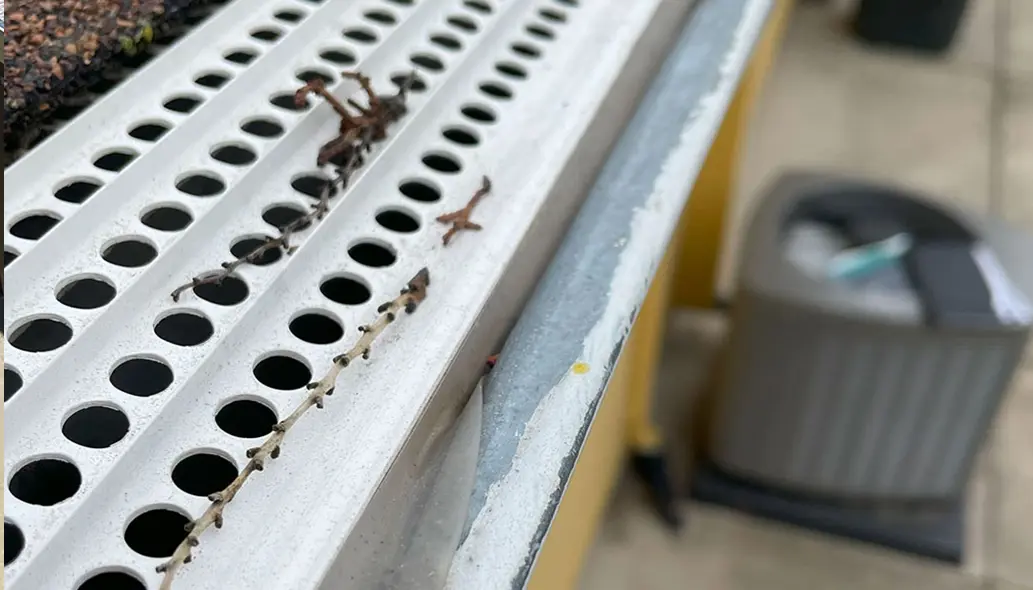 Quality First Home Gutters