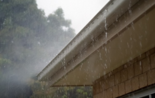 rain, roof, nature