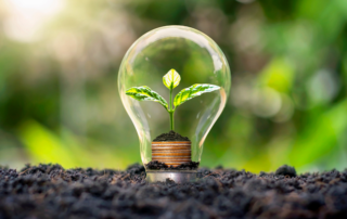 Bulb of Life