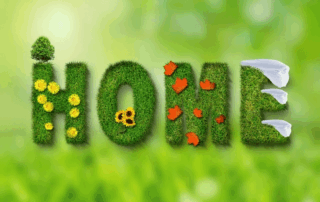 spring, at home, summer