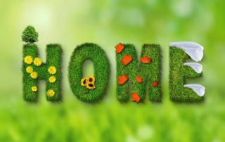 spring, at home, summer