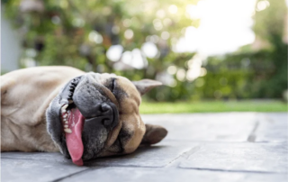 Heat Wave Ahead California