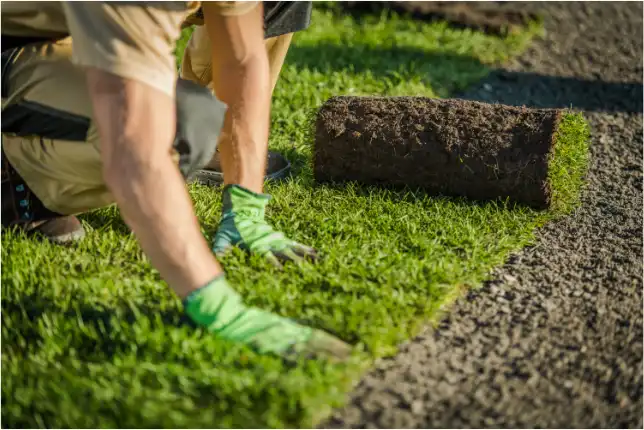 QFH_Halloween_Blog_11