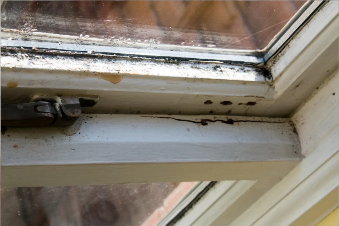 Home_Hidden_Structural_07