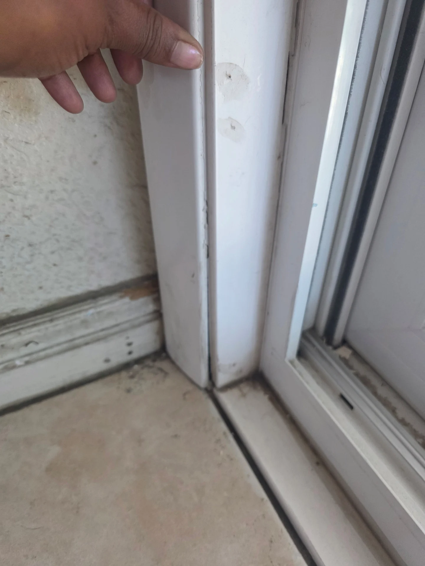 Patio-1